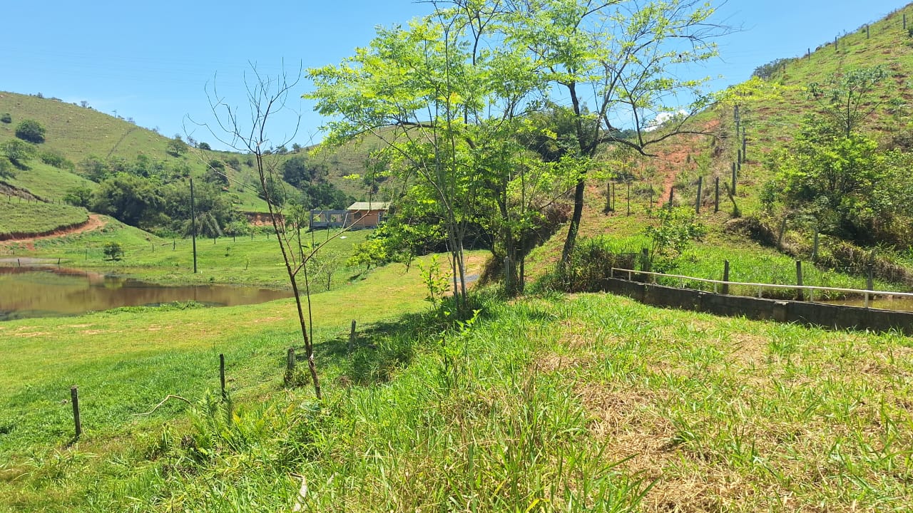 Lindo Sitio  imagem 6