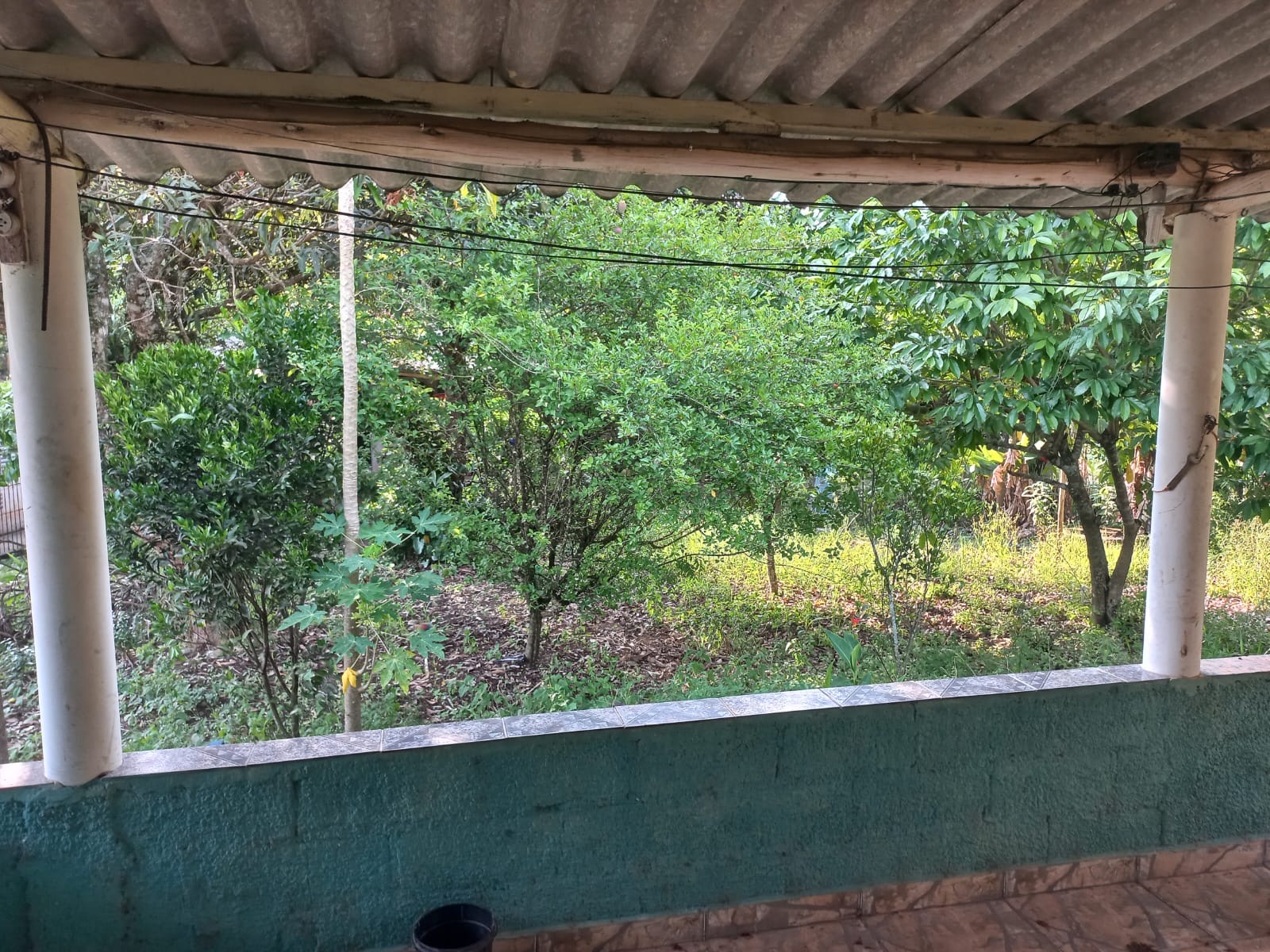 Chácara em Paraibuna imagem 4