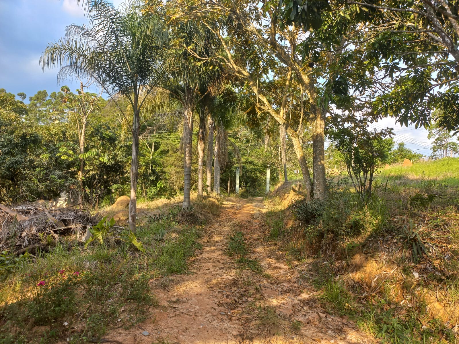 Chácara em Paraibuna imagem 5