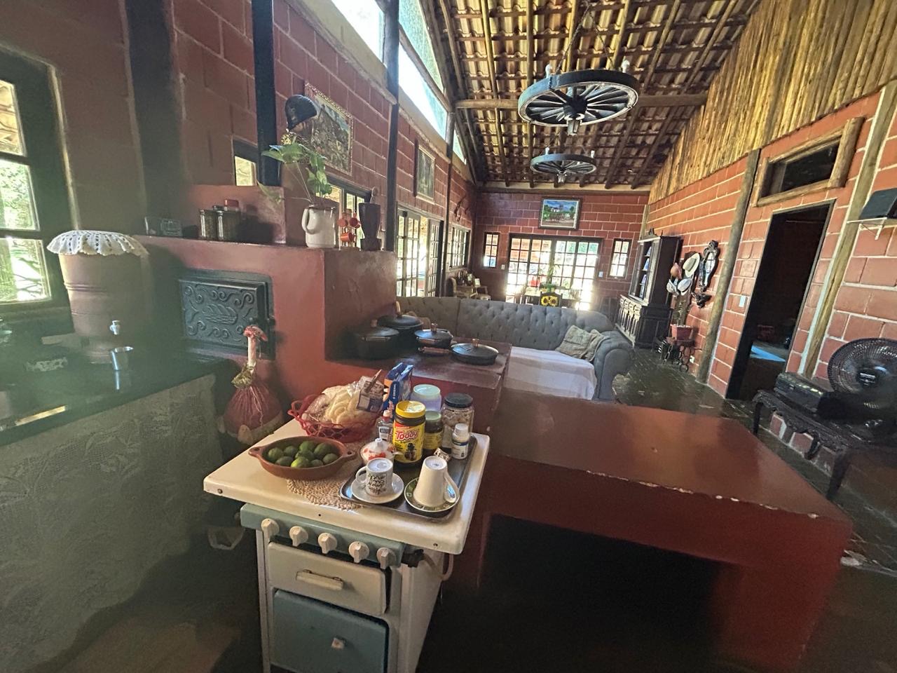 Chácara dentro da cidade de Santa Branca imagem 6